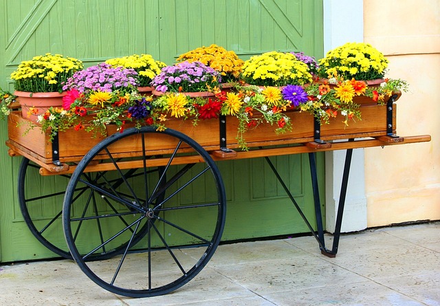 Verde che Vale: Guida al Giardinaggio Sostenibile