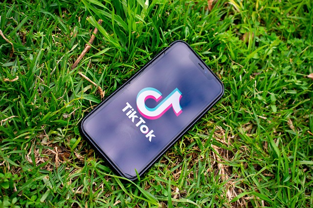 Il Dilemma di TikTok in America: Sicurezza o Censura?